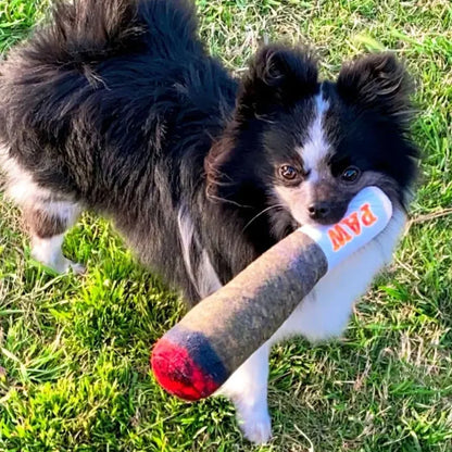 Plush Squeaky Toys for Dogs of All Sizes - Interactive and Fun Gifts for Birthdays and Joint Play